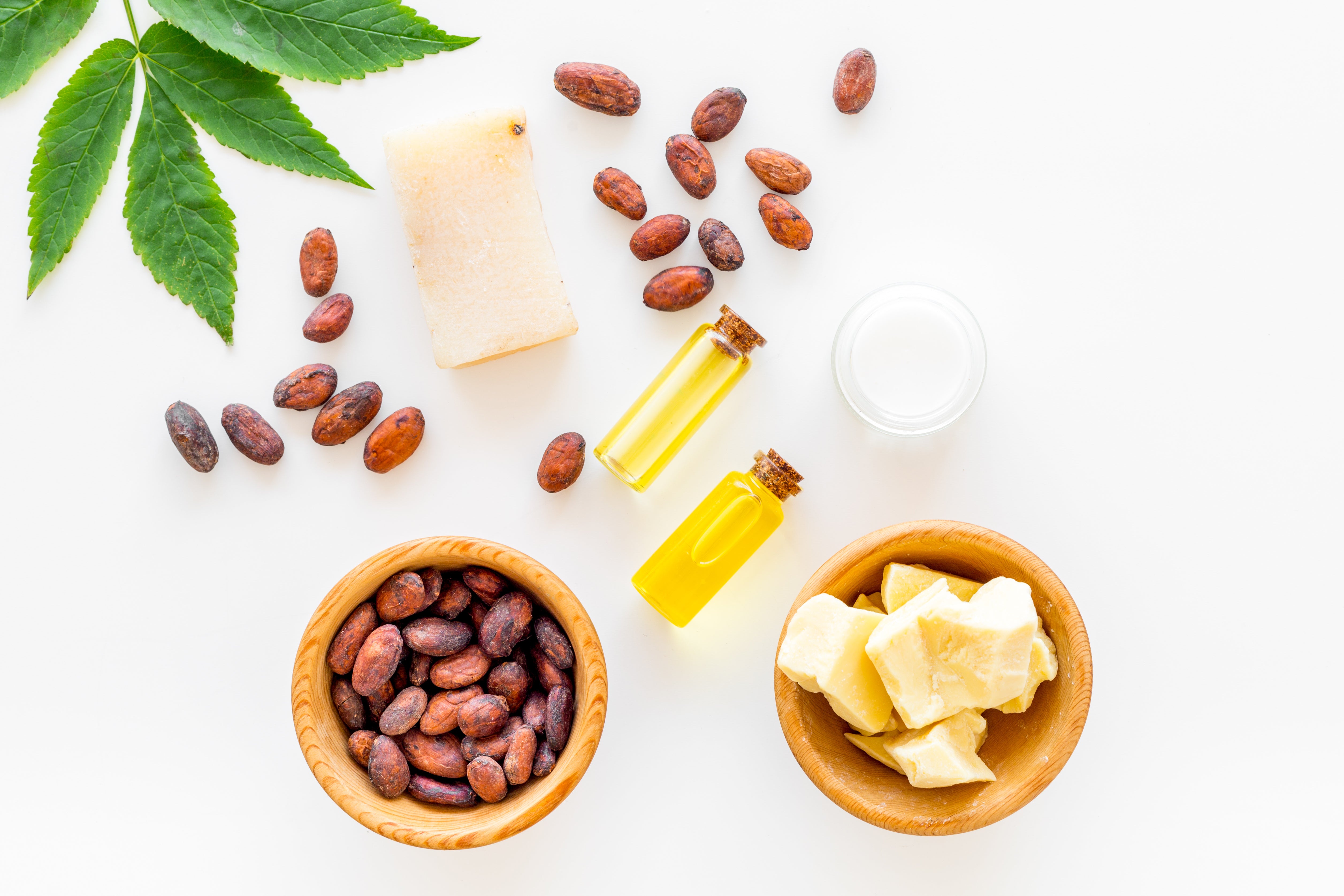 Ingredient Spotlight: Cocoa & Shea Butter