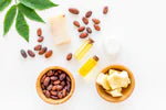 Ingredient Spotlight: Cocoa & Shea Butter
