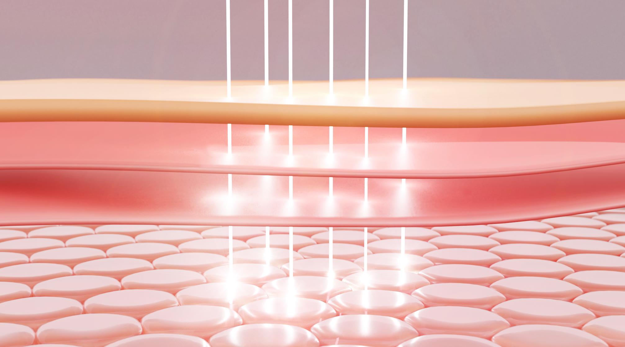 The 3 Layers Of Skin: A Closer Look At Their Structure & Function