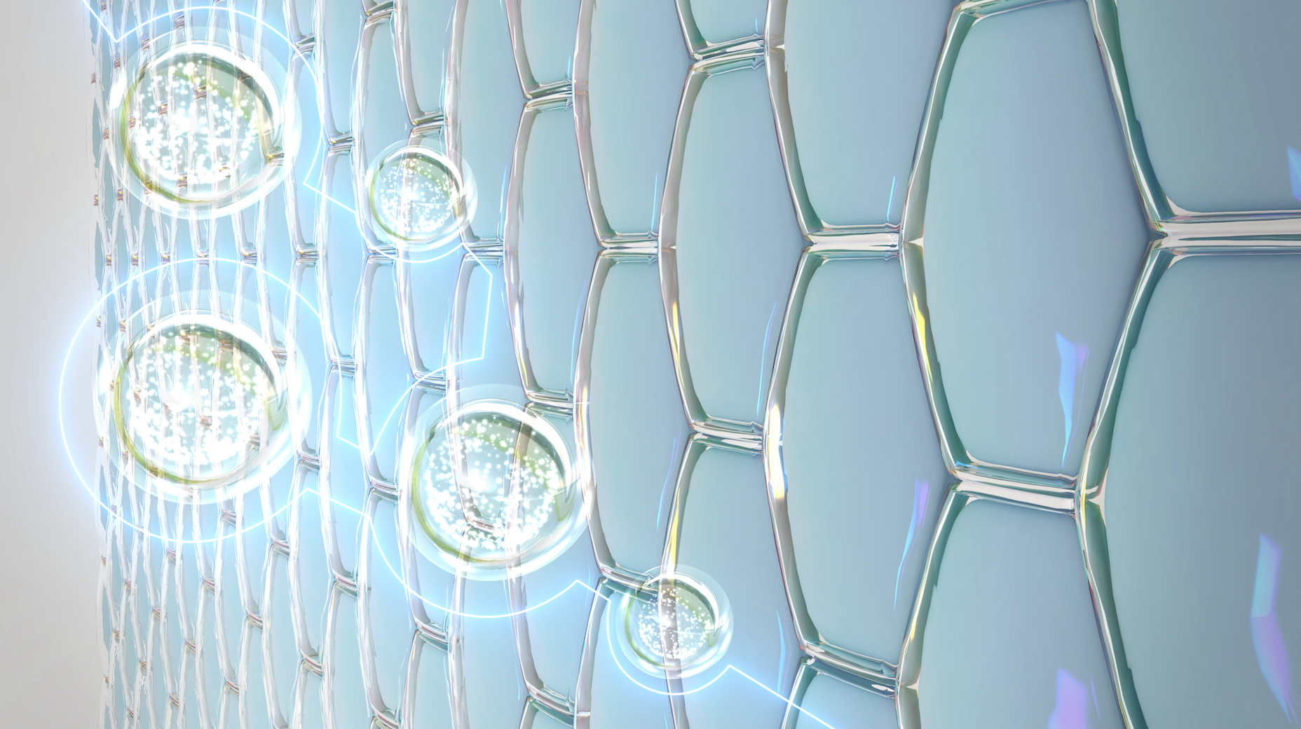 What Is TEWL? Why Moisture Is Your Best Friend During Scar Healing | do moist wounds heal faster, how to heal new scars, is it better to keep a scar moist or dry