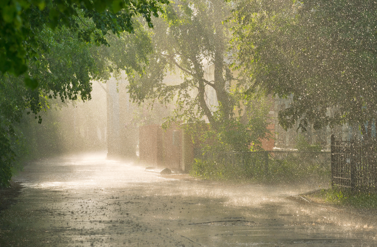 Where You Live & Your Skin: How Environmental Factors Can Impact Skin Health || how does pollution affect our skin, what does the sun do to skin, does weather affect skincare