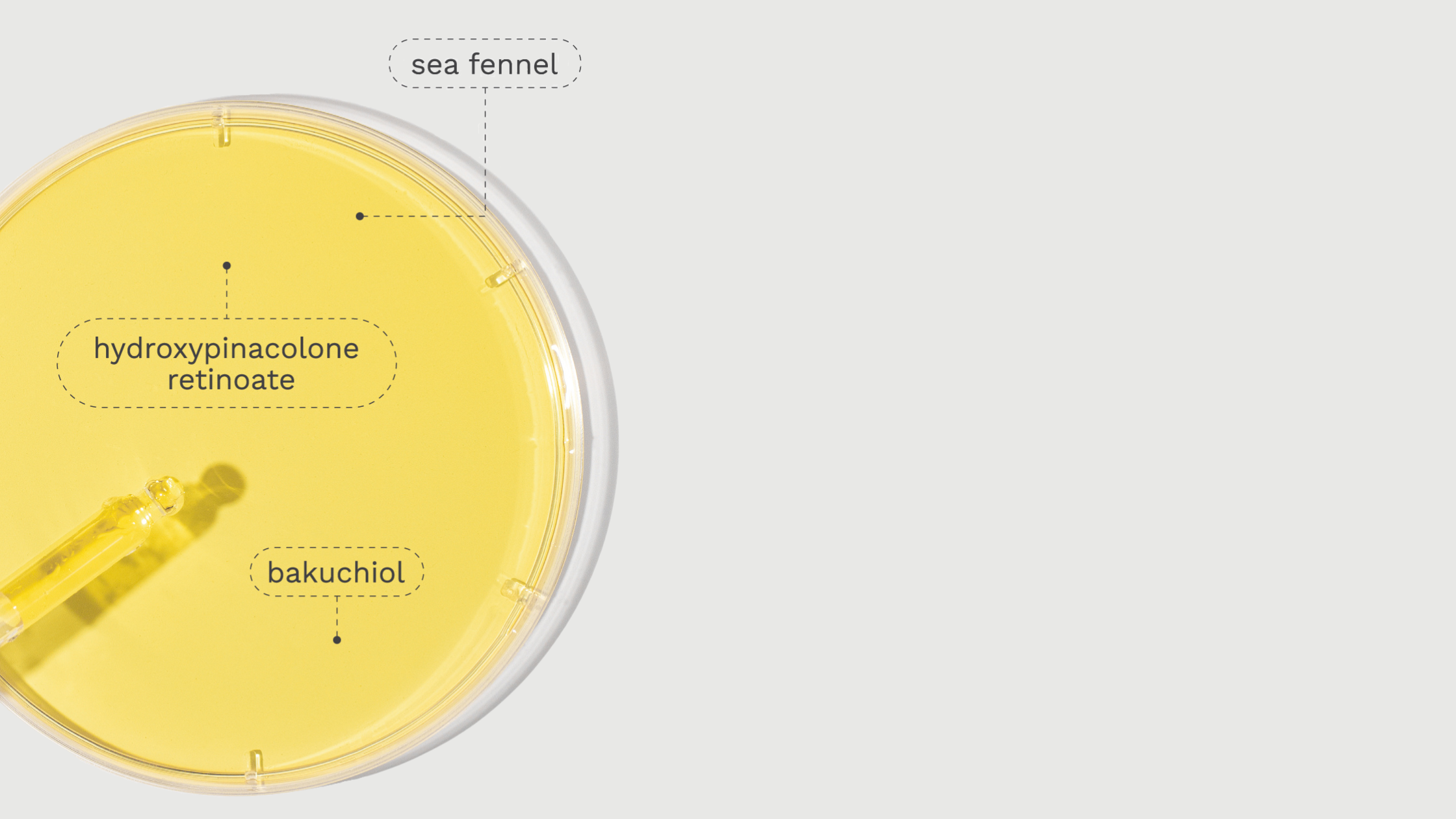 What Is Tri-RetinX? Learn About Our Gentle Retinoid Blend