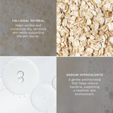 A 2x2 informational collage for a skincare product. The top-left panel shows a close-up of oat flakes with text reading 'COLLOIDAL OATMEAL' and its benefits.